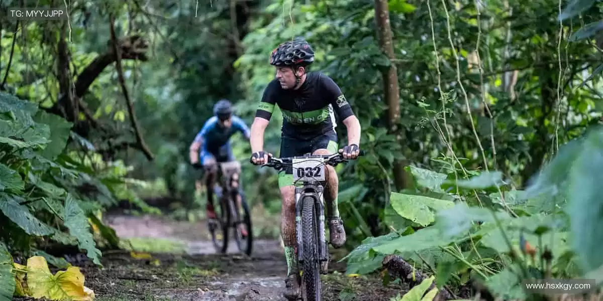 赛场风云，实时掌控！🏃♂️📺